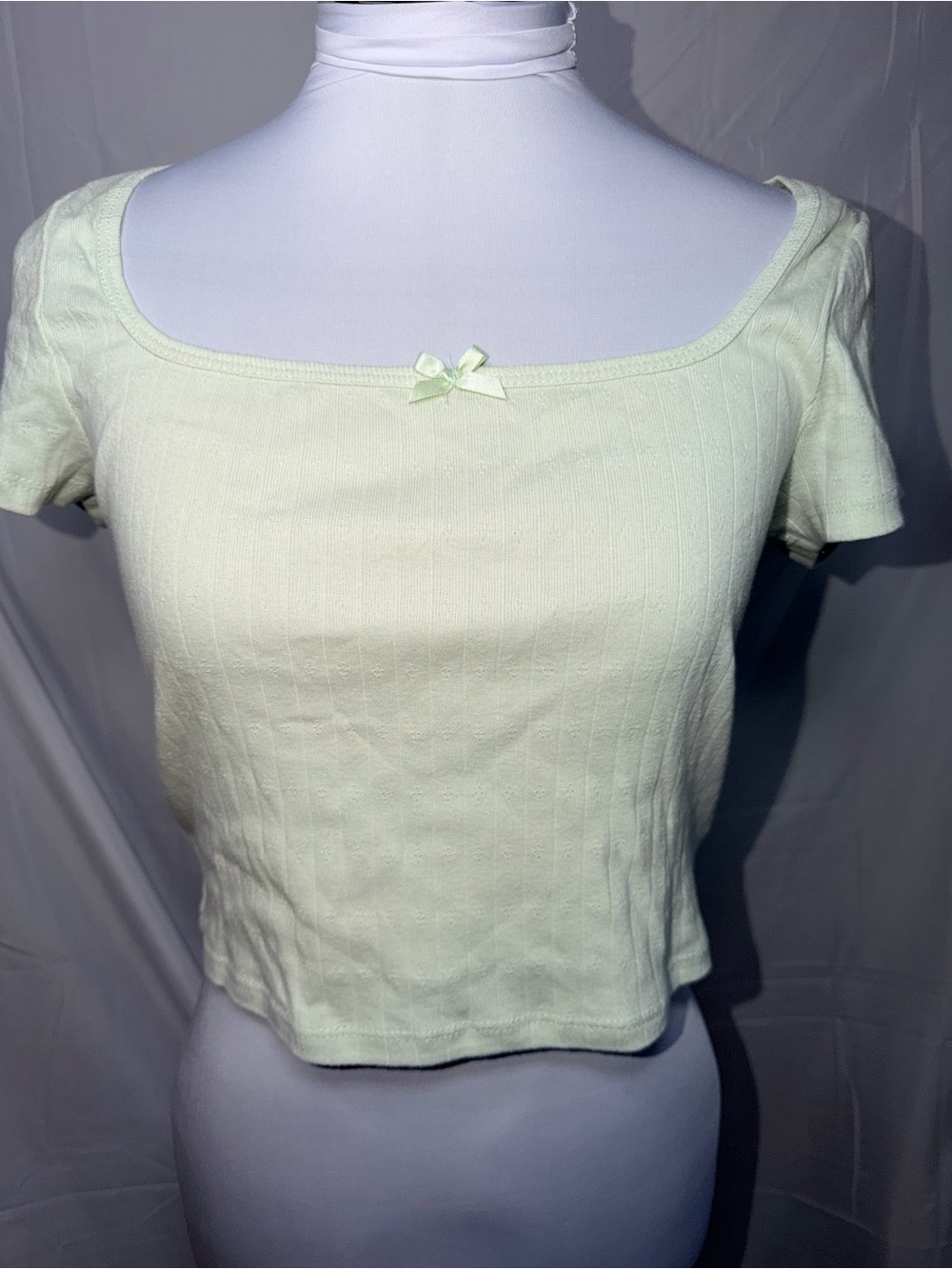 Gaze Square Neck Short Sleeve Crop Top in Light Green